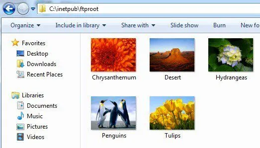 thư mục gốc ftp