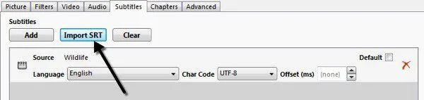Cách thêm phụ đề của riêng bạn vào video 10 nhập srt