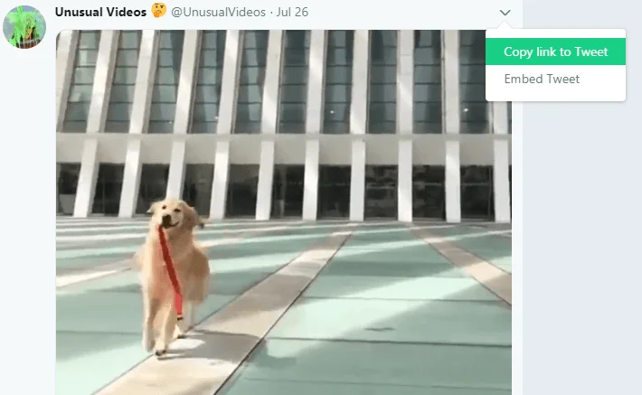 Cách tải xuống video từ Twitter, Facebook và Instagram 2 Cách tải xuống video từ Twitter, Facebook và Instagram