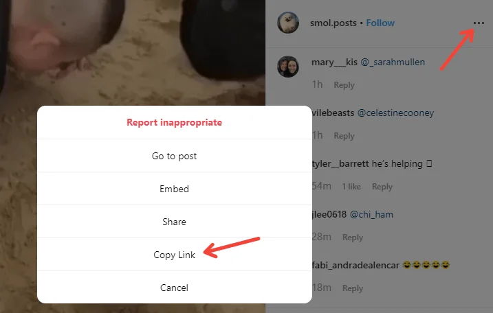 Cách tải xuống video từ Twitter, Facebook và Instagram 16 Cách tải xuống video từ Twitter, Facebook và Instagram
