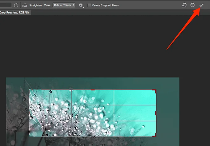 crop-photo - Mẹo công nghệ trực tuyến Cắt ảnh trong Photoshop ảnh 2