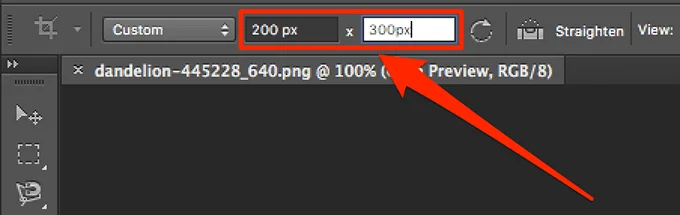 custom-crop-size - Mẹo công nghệ trực tuyến Cắt ảnh trong Photoshop ảnh 3