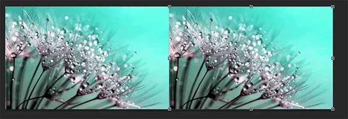 hai bức ảnh - Mẹo công nghệ trực tuyến Phản chiếu một bức ảnh trong Photoshop hình ảnh 4