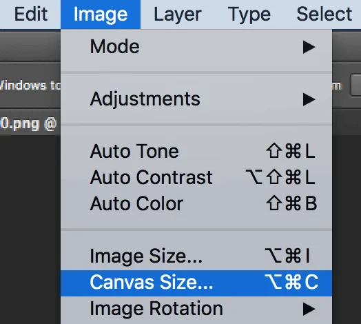 canvas-size - Mẹo công nghệ trực tuyến Phản chiếu một bức ảnh trong Photoshop hình ảnh 2