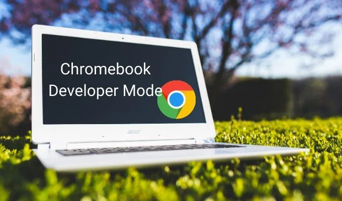 HDG giải thích: Chế độ nhà phát triển Chromebook là gì và công dụng của nó là gì? 4 HDG giải thích: Chế độ nhà phát triển Chromebook là gì và công dụng của nó là gì?