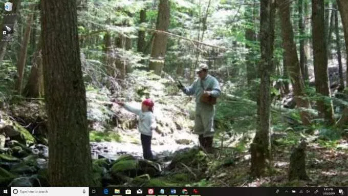 7 Hình nền động tuyệt vời cho Windows 10 để biến đổi màn hình của bạn