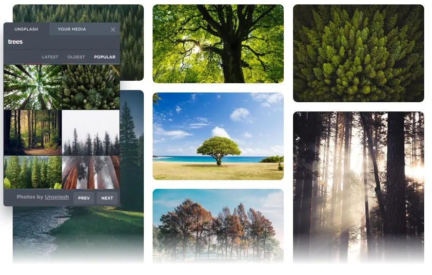 CSS Hero Visual CSS Editor 4