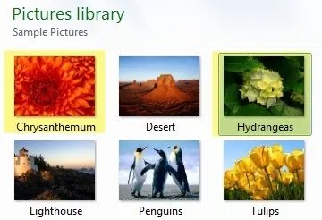 hợp nhất hình ảnh