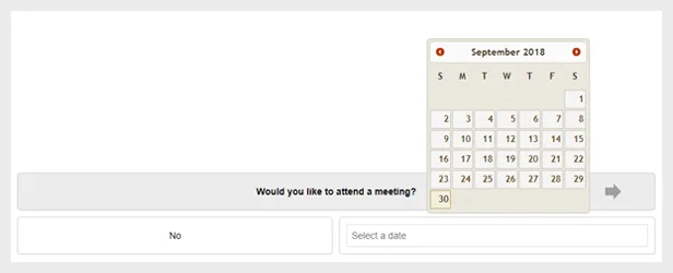 WordPress Questionnaire Date Answer