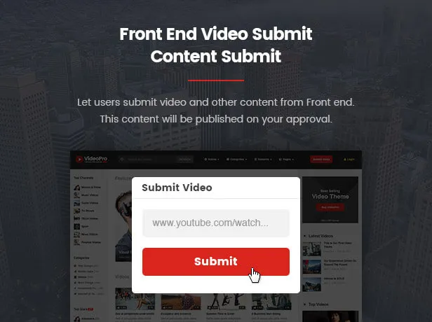 VideoPro - Video WordPress Theme - 13