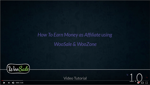 WooCommerce Amazon Affiliates - Plugin WordPress - 31