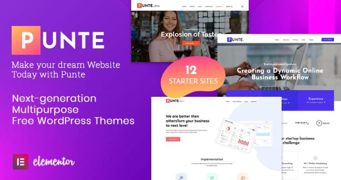 AccessPress Social Pro - 11