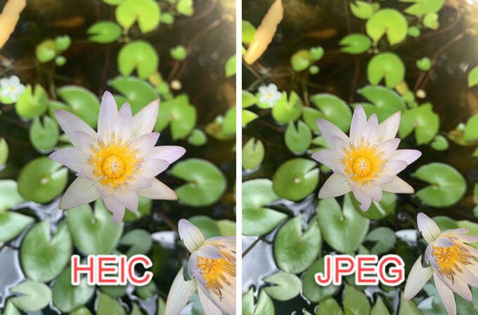 HEIC vs JPG: Sự khác biệt là gì 3 HEIC vs JPG: Sự khác biệt là gì