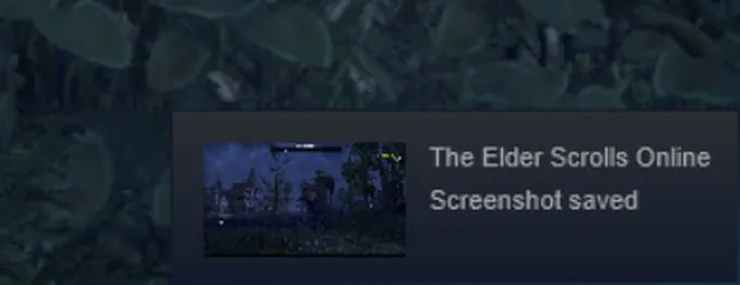 Cách chụp ảnh màn hình trên Steam 4 Cách chụp ảnh màn hình trên Steam
