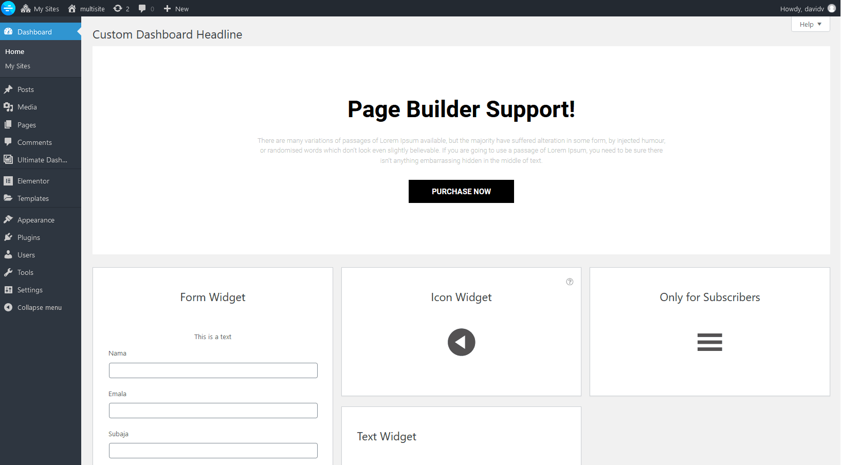 Ultimate Dashboard Pro - Full Control Over Your WordPress Dashboard 6