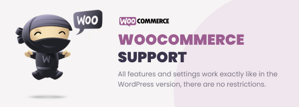Ultimate Video Player WordPress Plugin - 9