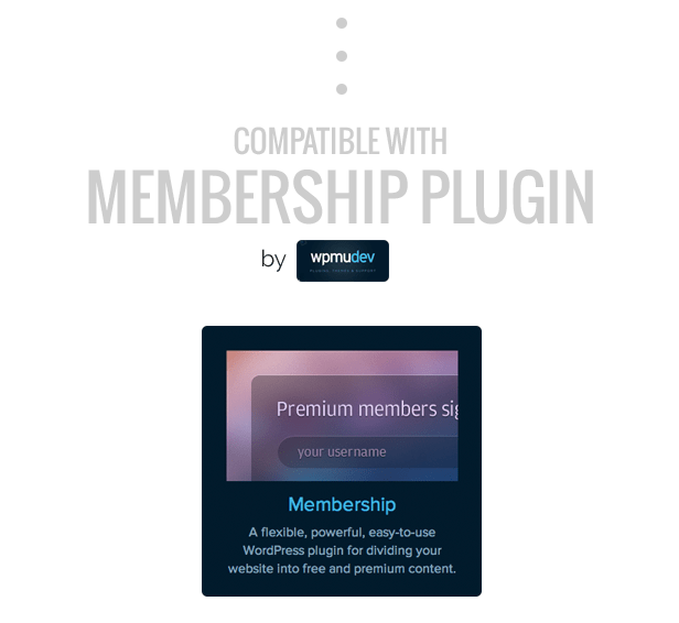 True Mag - WordPress Theme for Video and Magazine - 28