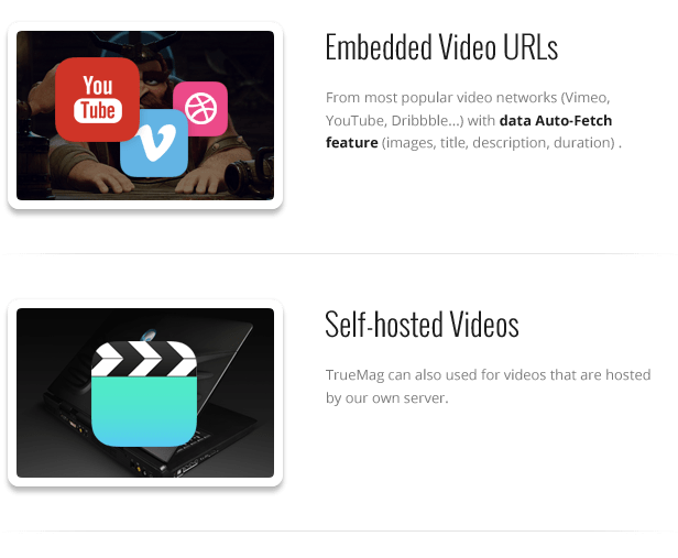 True Mag - WordPress Theme for Video and Magazine - 31