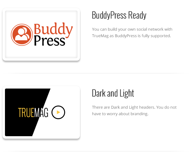 True Mag - WordPress Theme for Video and Magazine - 37
