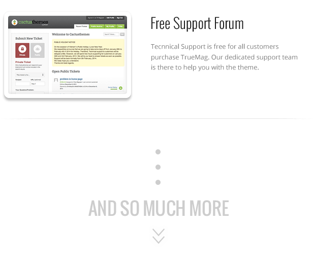True Mag - WordPress Theme for Video and Magazine - 40