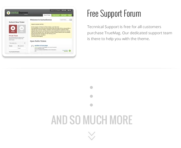Download: True Mag - WordPress Theme for Video and Magazine | 45 True Mag - WordPress Theme for Video and Magazine - 40