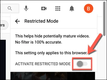 Chế độ hạn chế của YouTube là gì và cách bật hoặc tắt chế độ này 8 Chế độ hạn chế của YouTube là gì và cách bật hoặc tắt chế độ này