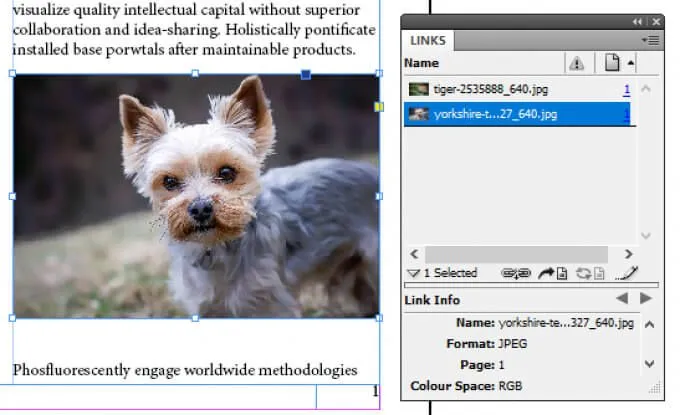 14 Mẹo & Thủ thuật Adobe InDesign cho người mới bắt đầu thử 18 14 Mẹo & Thủ thuật Adobe InDesign cho người mới bắt đầu thử