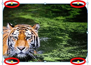 02RoundCorners - Mẹo công nghệ trực tuyến Làm tròn các góc hình ảnh của bạn image 2