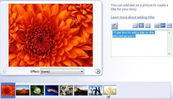 thêm tiêu đề vào bức ảnh