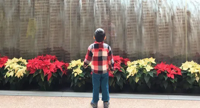 trước khi giật gân màu