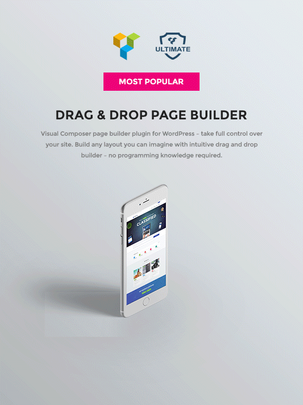 WordPress được phân loại Theme