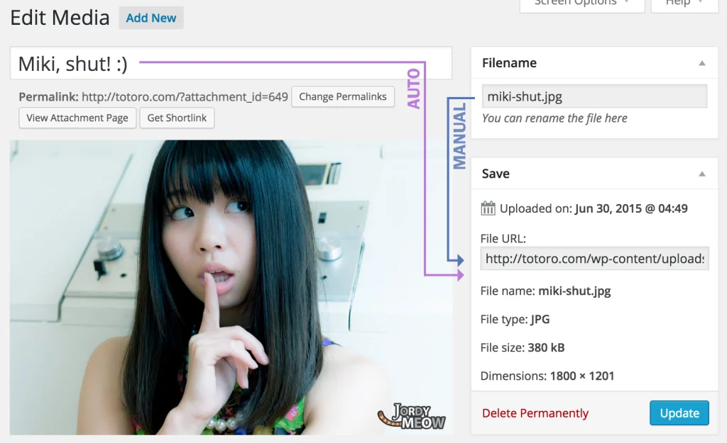 Media File Renamer Pro v5.3.8 NULLED - Auto & Manual Rename 1 Media File Renamer Pro 1