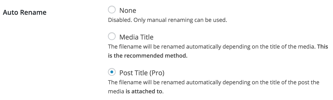 Media File Renamer Pro v5.3.8 NULLED - Auto & Manual Rename 5 Media File Renamer Pro 5