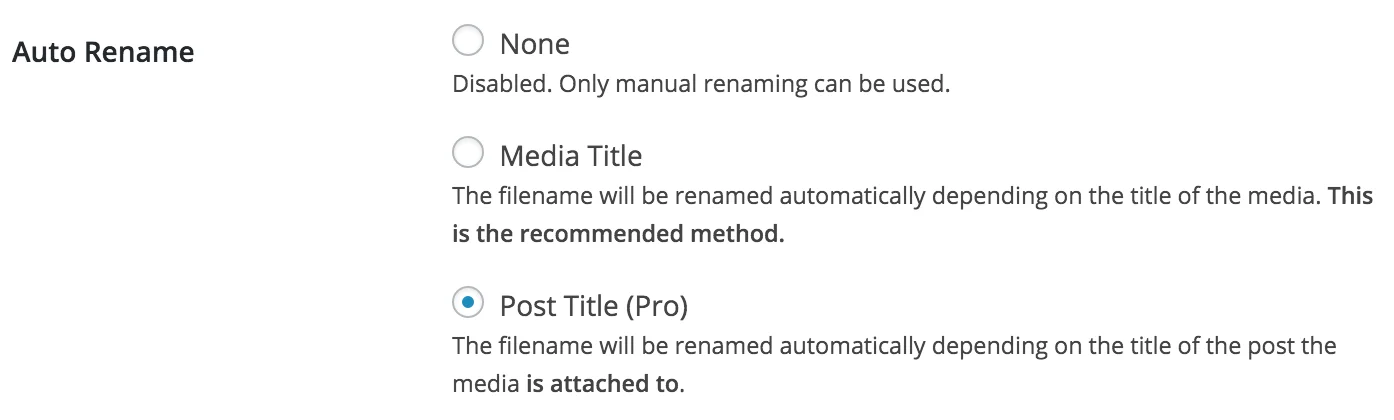 Media File Renamer Pro v5.3.8 NULLED - Auto & Manual Rename 5 Media File Renamer Pro 5