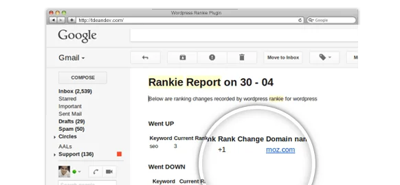 báo cáo trình theo dõi xếp hạng wordpress