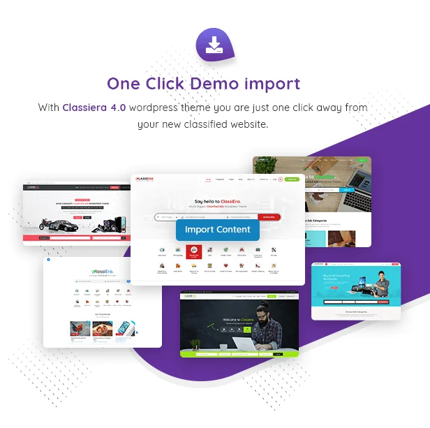 WordPress được phân loại Theme