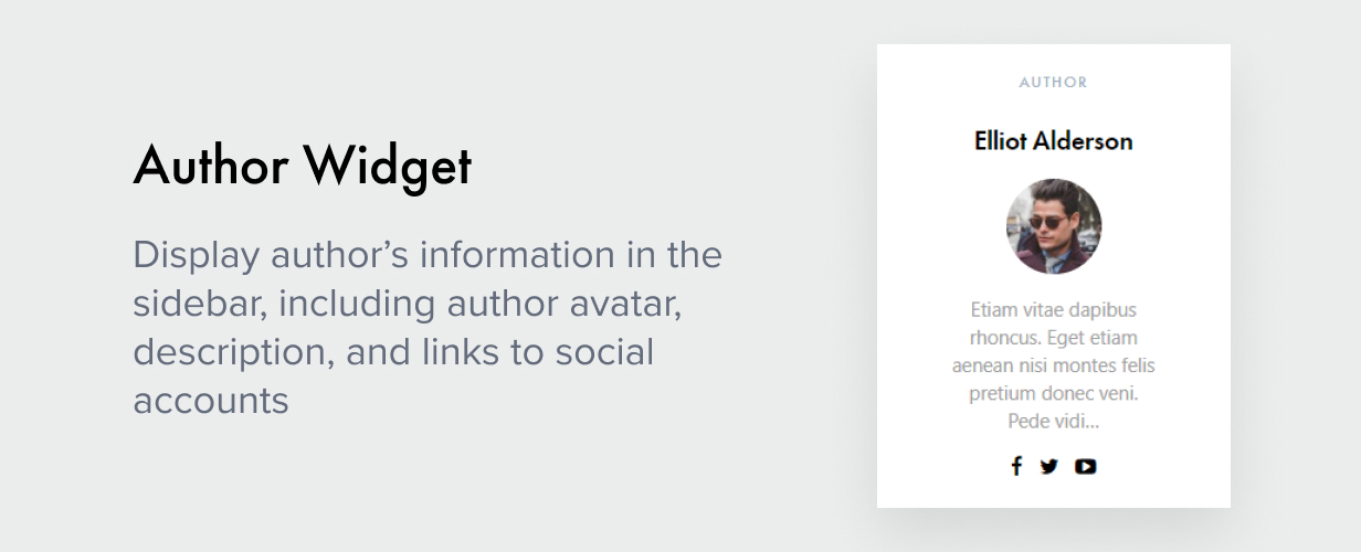 Tác giả Widget
