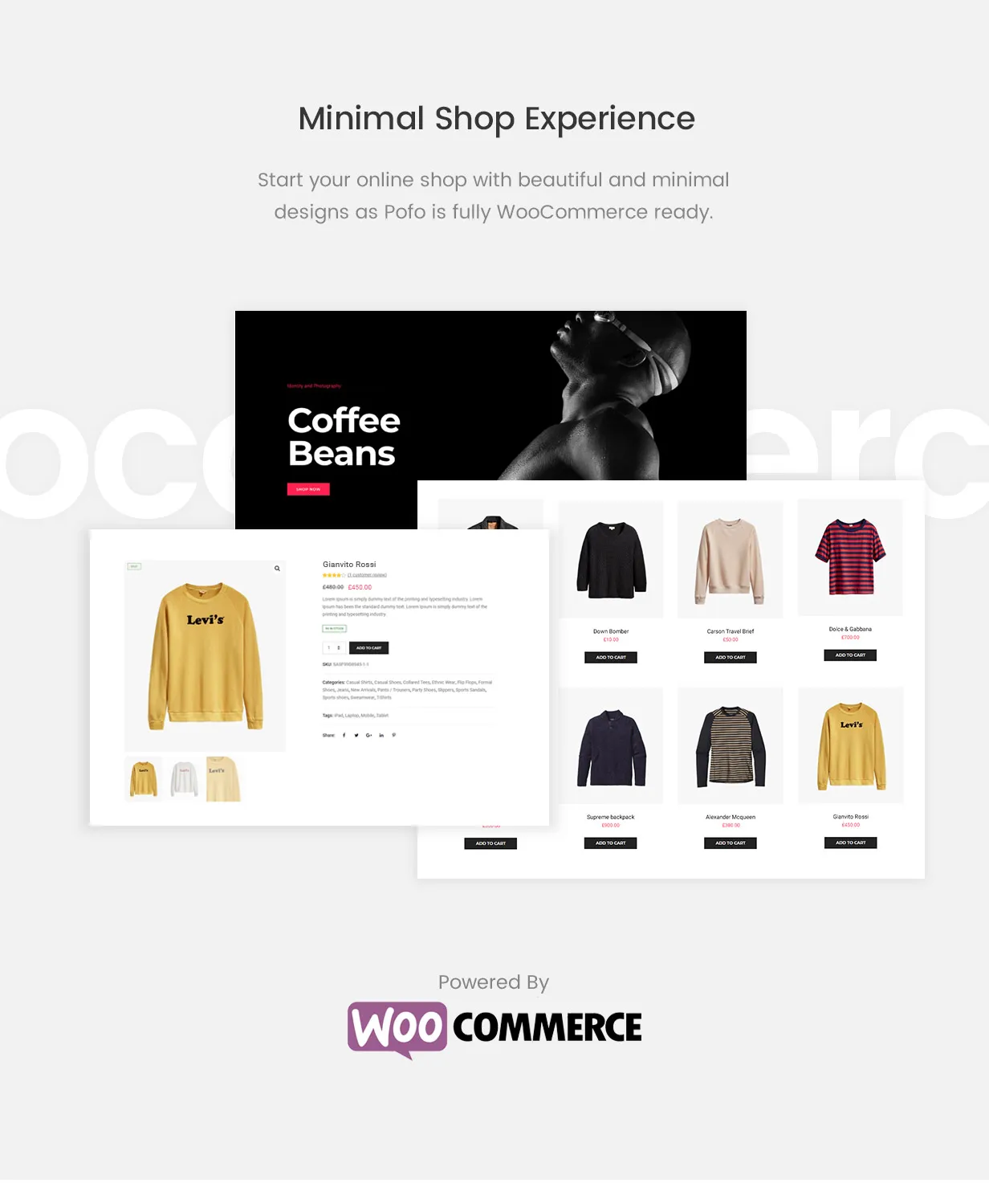 Pofo v1.4 NULLED - Creative Portfolio and Blog WordPress Theme