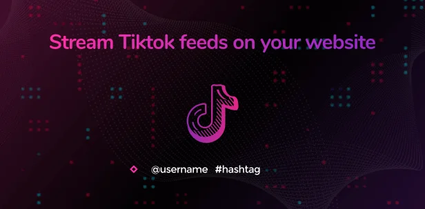 Social Stream Designer v1.1.5 - Instagram Facebook Twitter Feed - Social media Feed Grid Gallery Plugin 2 Social Stream Designer - Instagram Facebook Twitter Feed 2