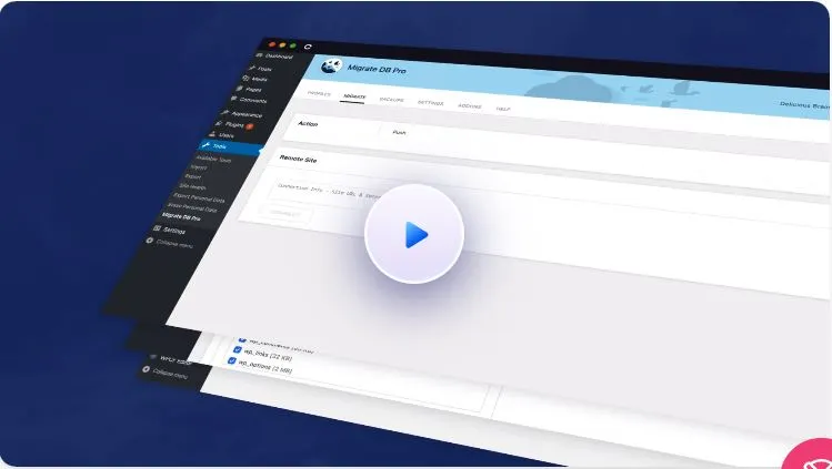 WP Migrate DB Pro 1