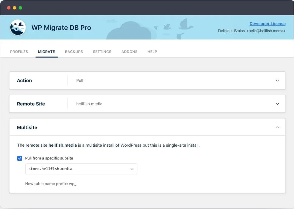 WP Migrate DB Pro 7