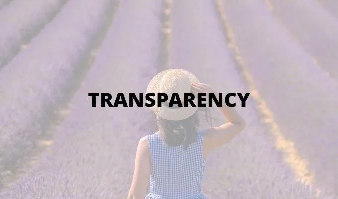 9 cách nhanh chóng để làm cho hình ảnh trong suốt trên Windows và Mac