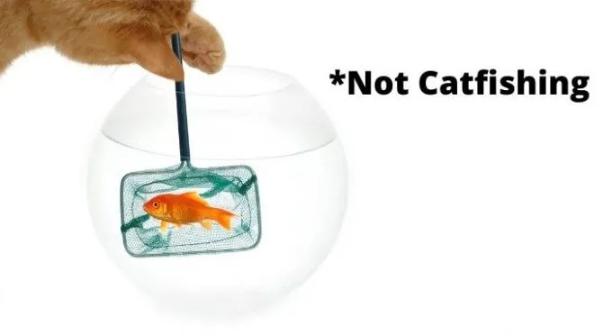 Đánh bắt cá là gì và làm thế nào để nhận ra nó trên mạng xã hội