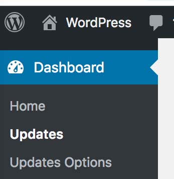 Easy Updates Manager Premium 1