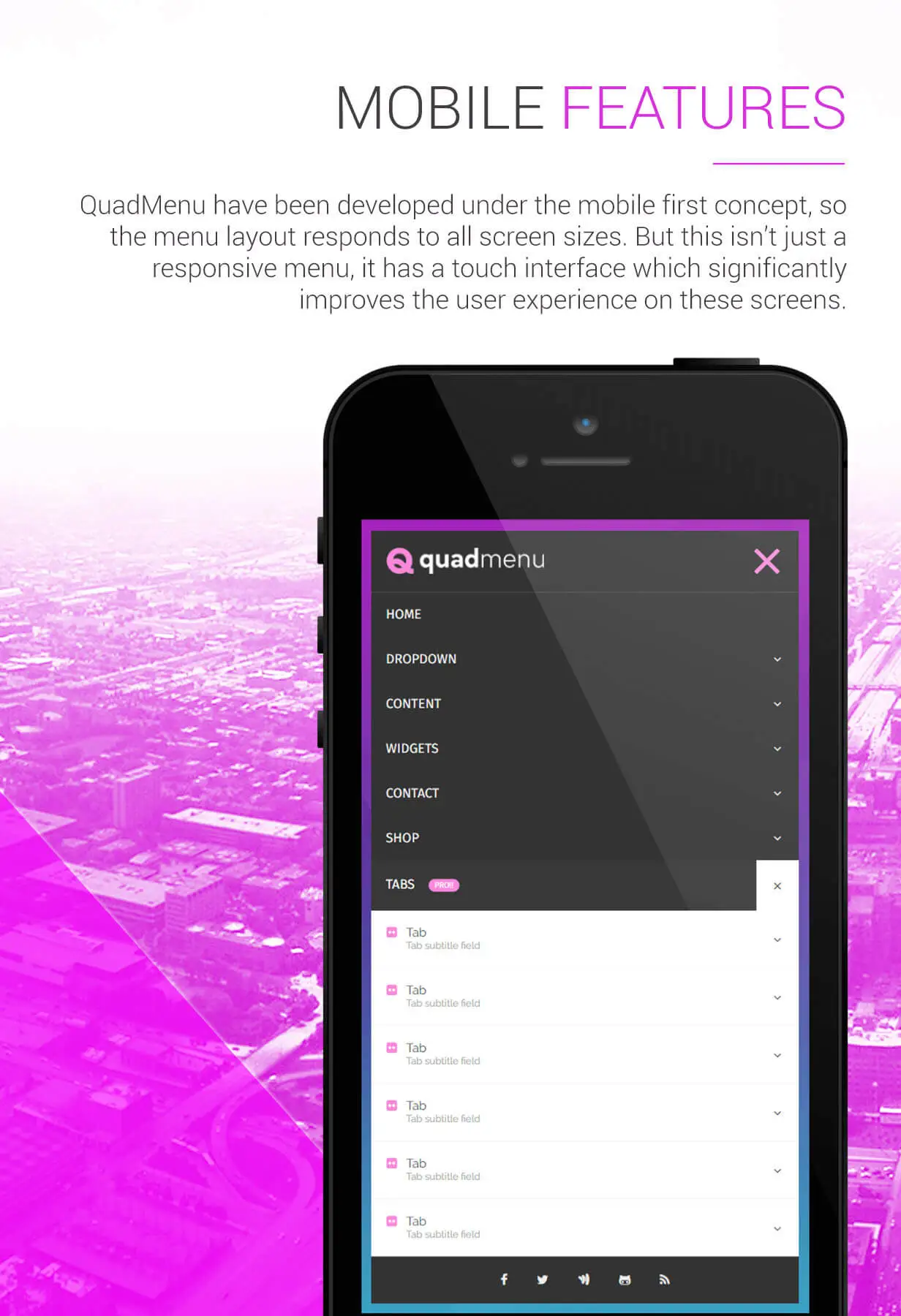 QuadMenu - Themes Developer Mega Menu 2