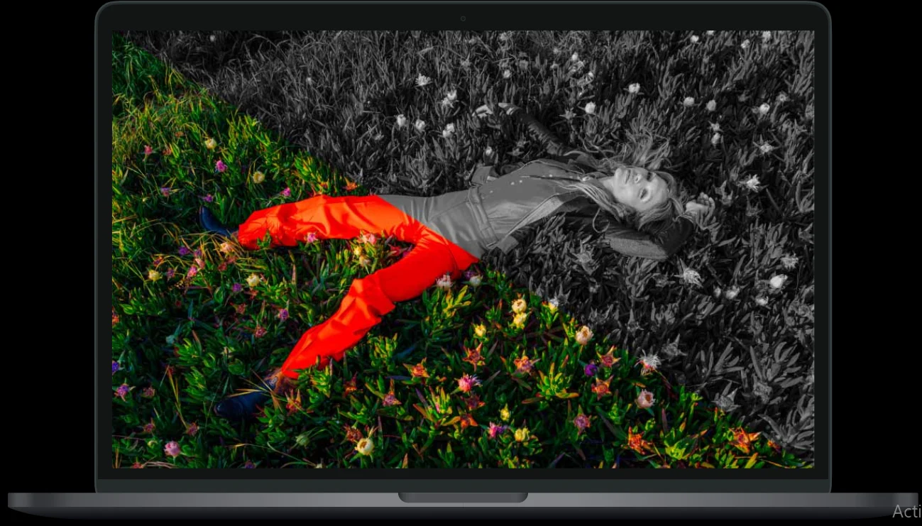 WP Dark Mode Ultimate màu sắc sinh động