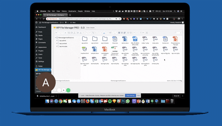 Tính năng WP File Manager Pro Plugin