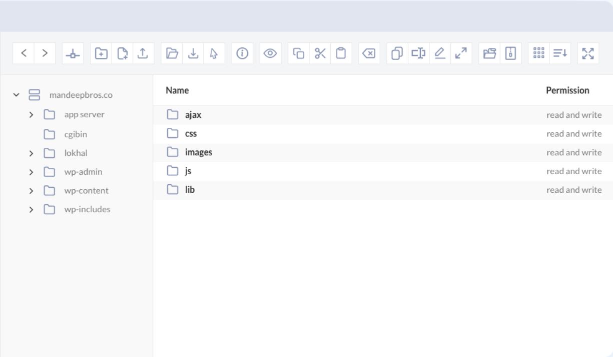 WP File Manager Pro