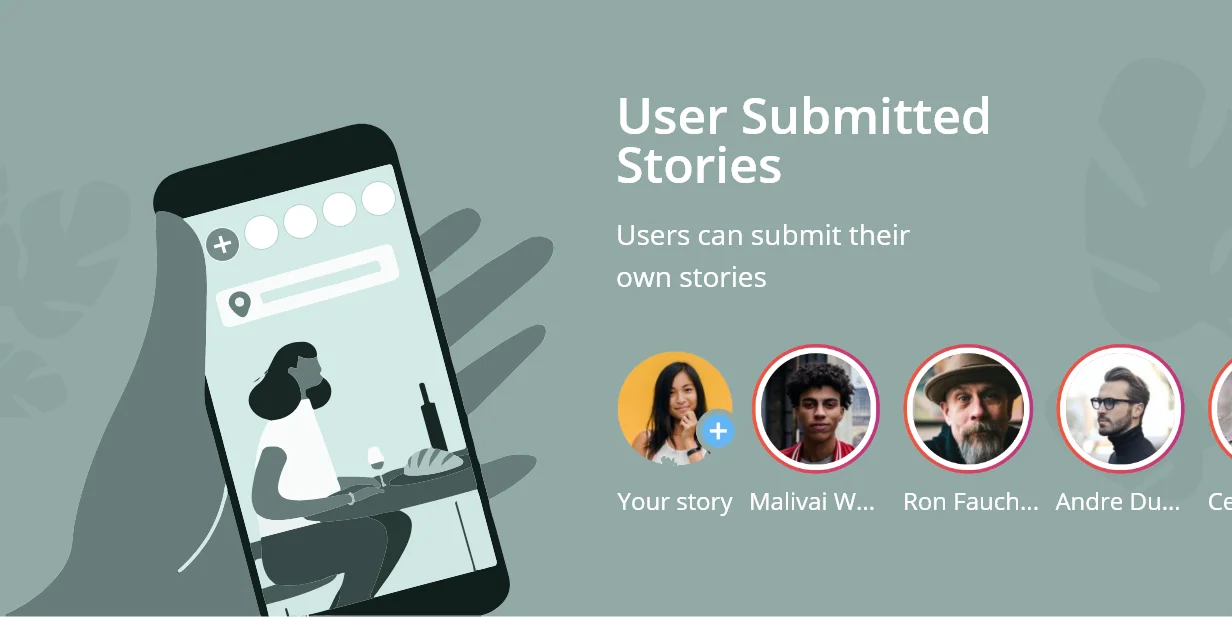WP Story Premium - Instagram Style Stories For WordPress 4