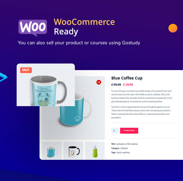Gostudy - Education WordPress Theme 9